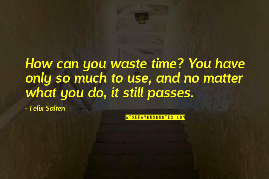 Time Passes Quotes By Felix Salten: How can you waste time? You have only