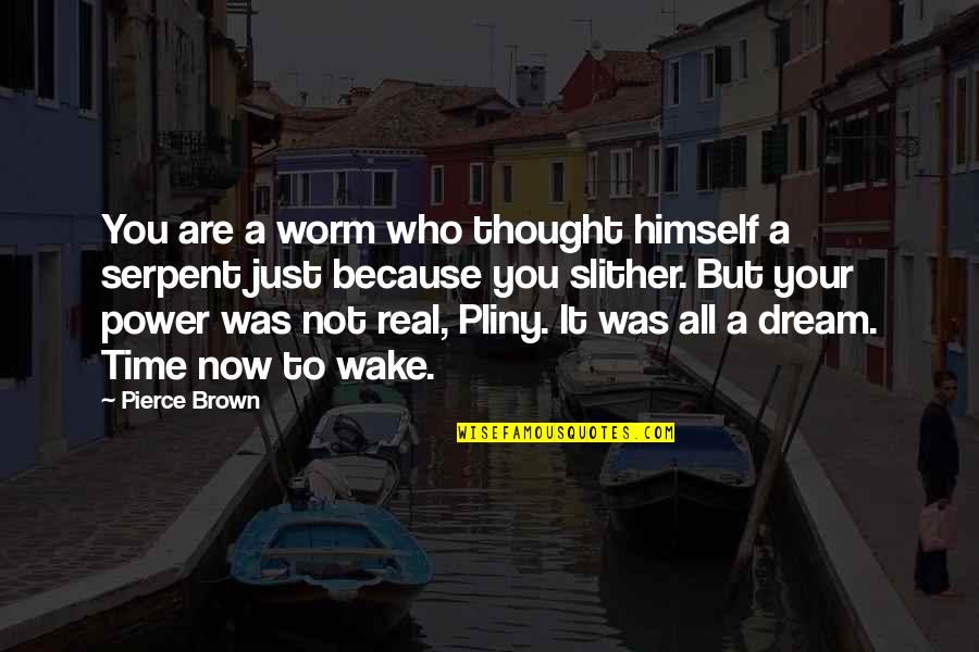 Time Power Quotes By Pierce Brown: You are a worm who thought himself a