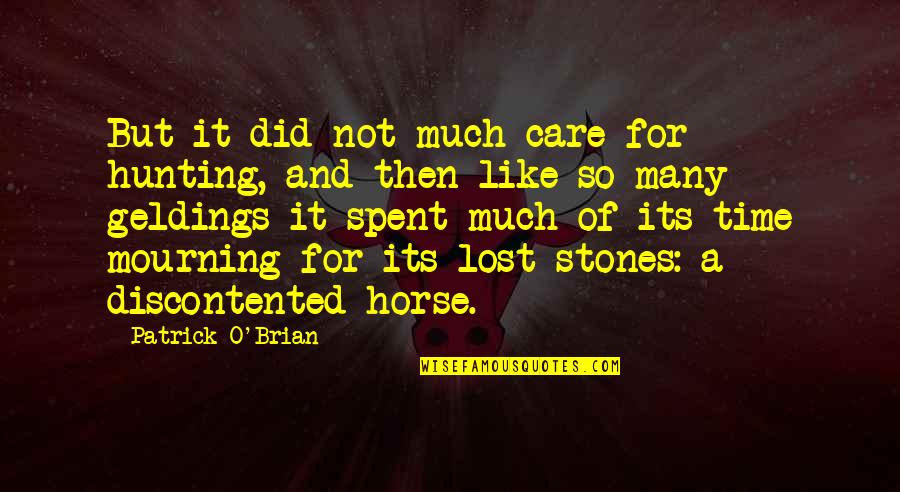 Time Spent With Horse Quotes By Patrick O'Brian: But it did not much care for hunting,