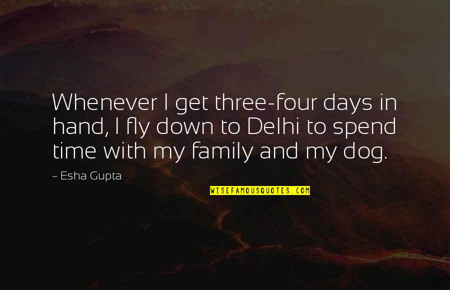 Time.spent.with My Family Quotes By Esha Gupta: Whenever I get three-four days in hand, I