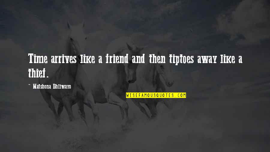 Time Thief Quotes By Matshona Dhliwayo: Time arrives like a friend and then tiptoes