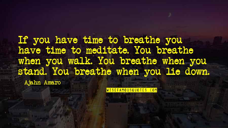 Time To Breathe Quotes By Ajahn Amaro: If you have time to breathe you have