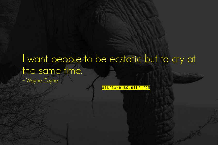 Time To Cry Quotes By Wayne Coyne: I want people to be ecstatic but to