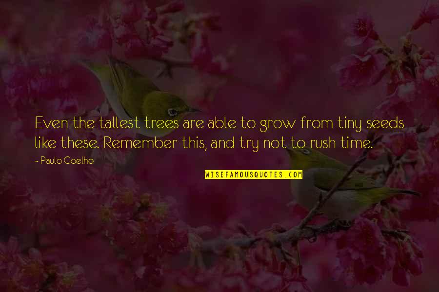 Time To Grow Quotes By Paulo Coelho: Even the tallest trees are able to grow Time To Grow Quotes By Paulo Coelho: Even the tallest trees are able to grow