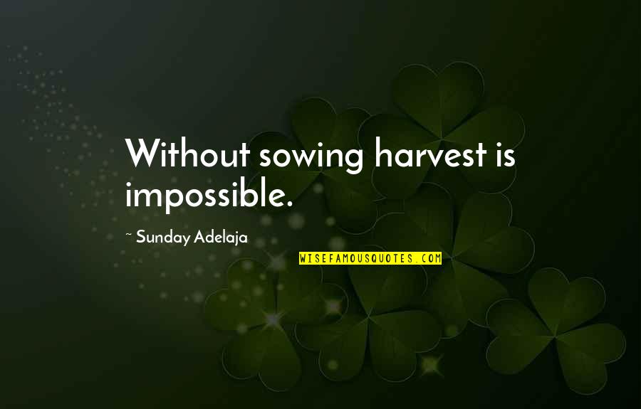 Time To Harvest Quotes By Sunday Adelaja: Without sowing harvest is impossible. Time To Harvest Quotes By Sunday Adelaja: Without sowing harvest is impossible.
