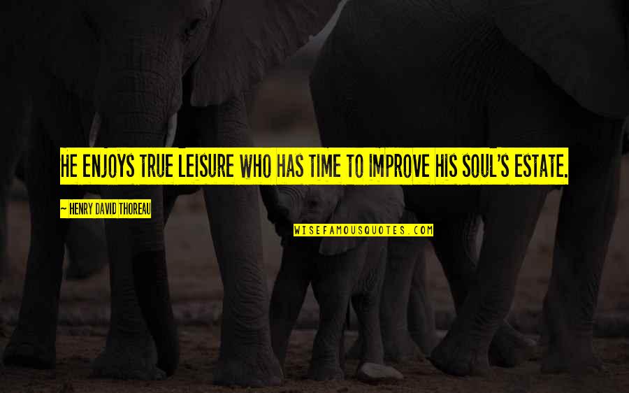 Time To Improve Quotes By Henry David Thoreau: He enjoys true leisure who has time to