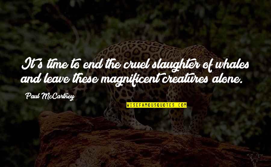 Time To Leave Quotes By Paul McCartney: It's time to end the cruel slaughter of