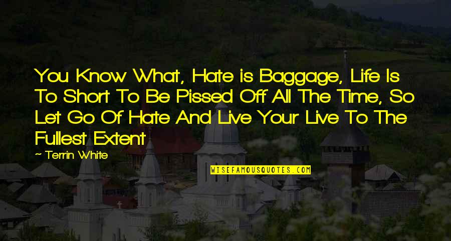 Time To Live Life Quotes By Terrin White: You Know What, Hate is Baggage, Life Is Time To Live Life Quotes By Terrin White: You Know What, Hate is Baggage, Life Is