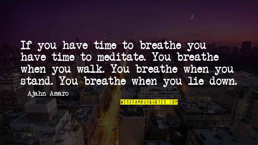 Time To Meditate Quotes By Ajahn Amaro: If you have time to breathe you have Time To Meditate Quotes By Ajahn Amaro: If you have time to breathe you have