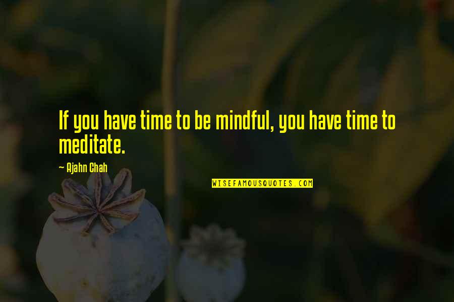 Time To Meditate Quotes By Ajahn Chah: If you have time to be mindful, you