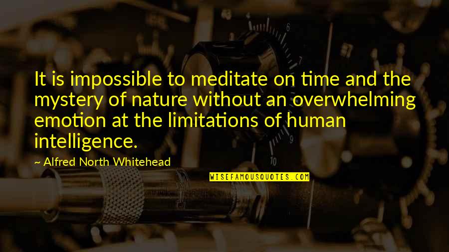 Time To Meditate Quotes By Alfred North Whitehead: It is impossible to meditate on time and Time To Meditate Quotes By Alfred North Whitehead: It is impossible to meditate on time and
