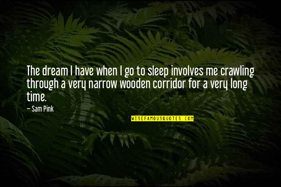 Time To Sleep Quotes By Sam Pink: The dream I have when I go to