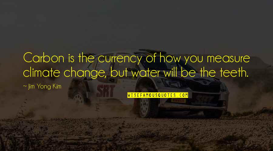 Time To Treat Myself Quotes By Jim Yong Kim: Carbon is the currency of how you measure