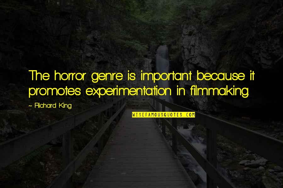 Time To Treat Myself Quotes By Richard King: The horror genre is important because it promotes