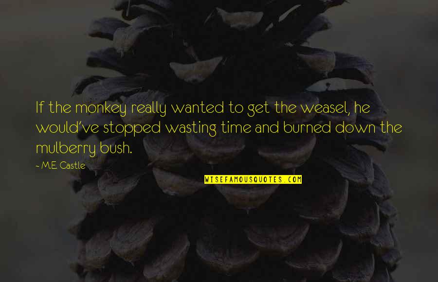 Time Wasting Quotes By M.E. Castle: If the monkey really wanted to get the