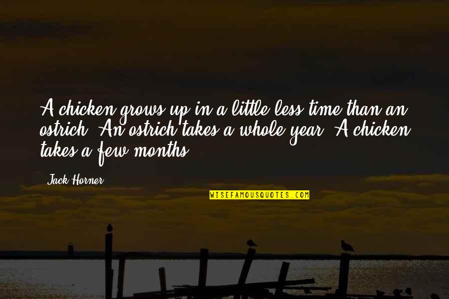 Time Whole Quotes By Jack Horner: A chicken grows up in a little less