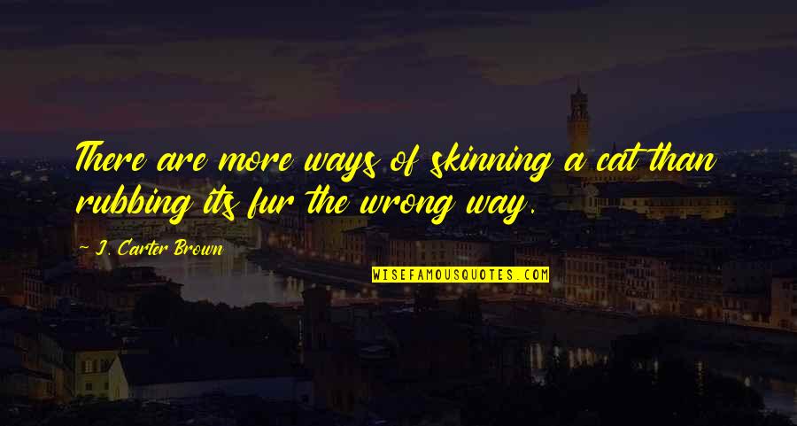 Time Will Show Quotes By J. Carter Brown: There are more ways of skinning a cat