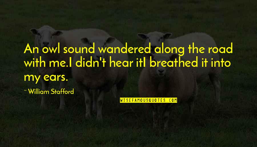 Timely Feedback Quotes By William Stafford: An owl sound wandered along the road with