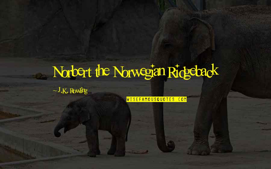 Timepass Pics Quotes By J.K. Rowling: Norbert the Norwegian Ridgeback Timepass Pics Quotes By J.K. Rowling: Norbert the Norwegian Ridgeback