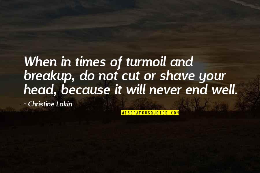 Times Not Quotes By Christine Lakin: When in times of turmoil and breakup, do