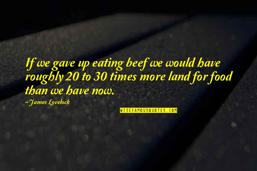 Times Now Quotes By James Lovelock: If we gave up eating beef we would