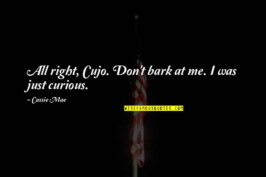 Timeslip Quotes By Cassie Mae: All right, Cujo. Don't bark at me. I