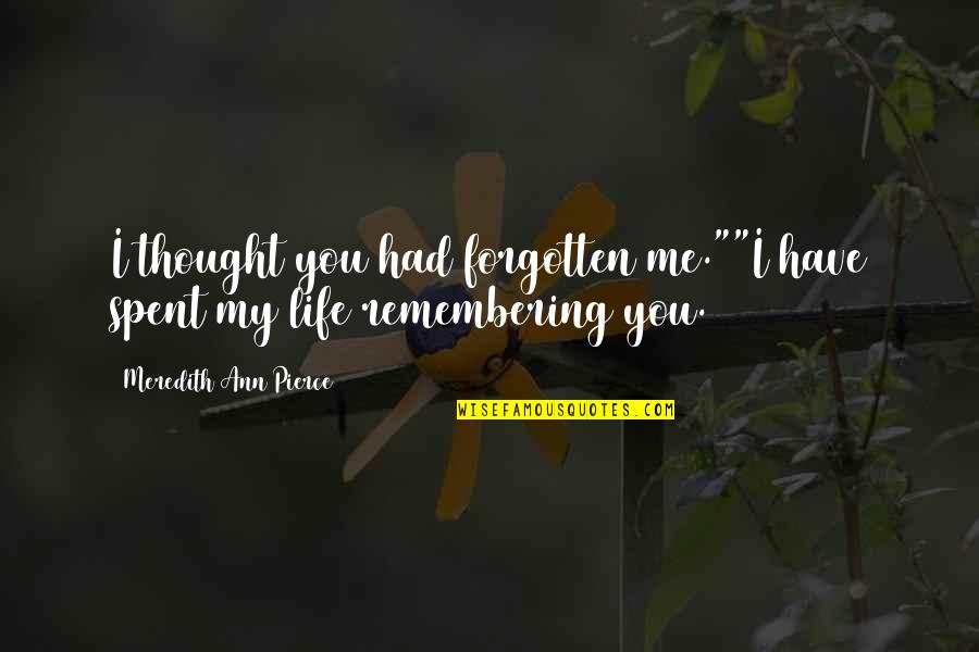 Timir Datta Quotes By Meredith Ann Pierce: I thought you had forgotten me.""I have spent Timir Datta Quotes By Meredith Ann Pierce: I thought you had forgotten me.""I have spent