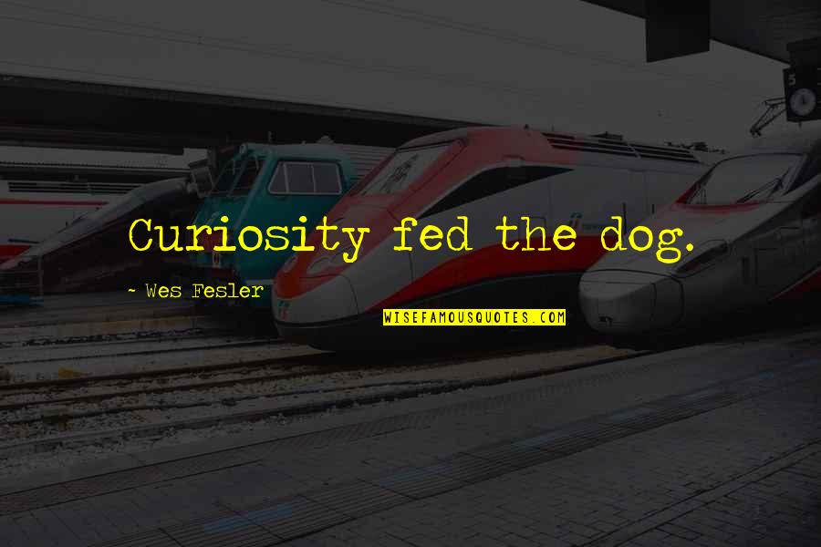 Timna Quotes By Wes Fesler: Curiosity fed the dog.