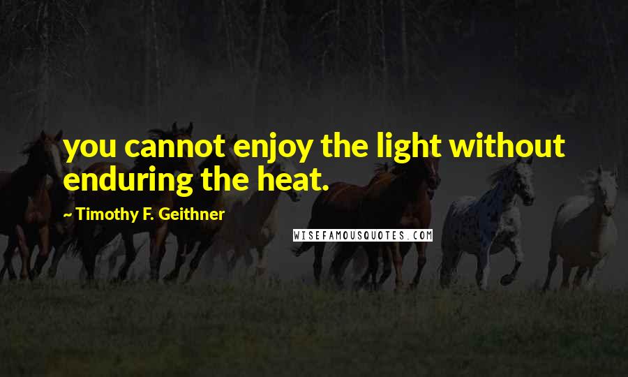 Timothy F. Geithner quotes: you cannot enjoy the light without enduring the heat.