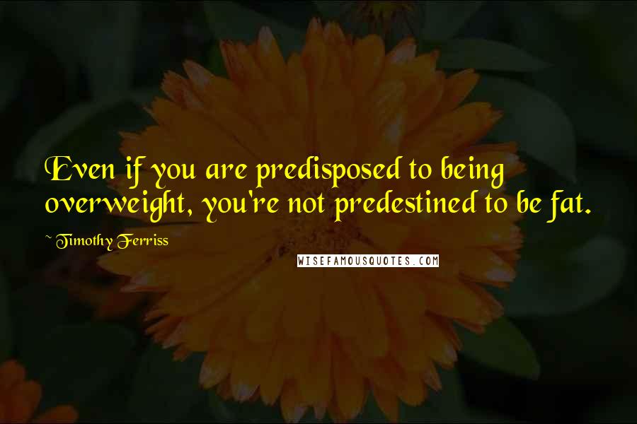 Timothy Ferriss quotes: Even if you are predisposed to being overweight, you're not predestined to be fat. Timothy Ferriss quotes: Even if you are predisposed to being overweight, you're not predestined to be fat.