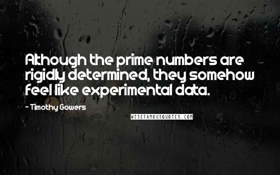 Timothy Gowers quotes: Although the prime numbers are rigidly determined, they somehow feel like experimental data.