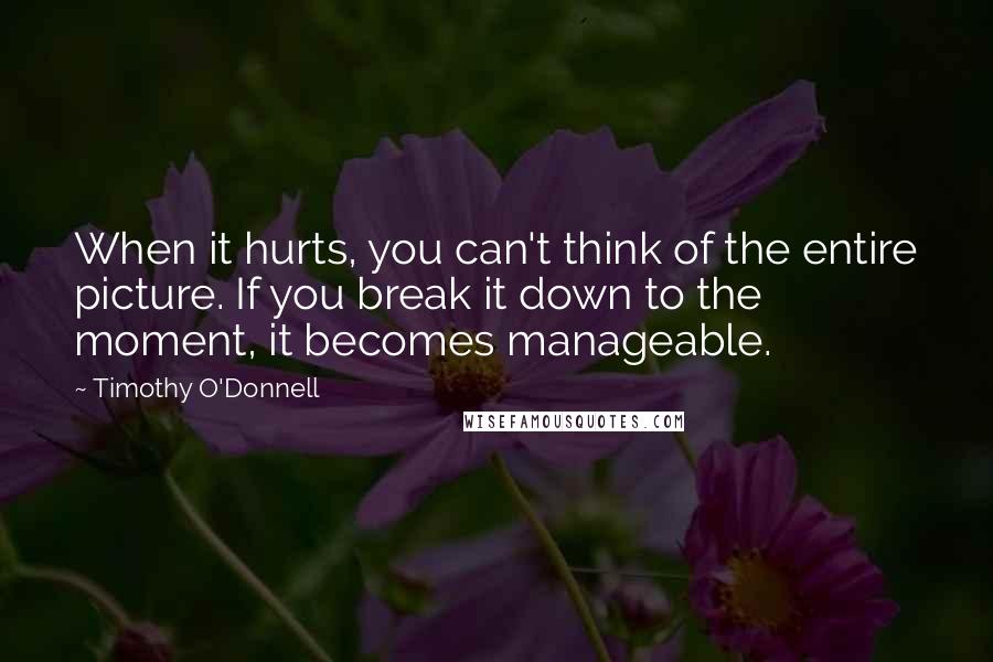 Timothy O'Donnell quotes: When it hurts, you can't think of the entire picture. If you break it down to the moment, it becomes manageable.