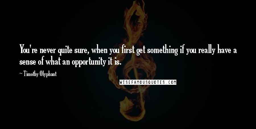 Timothy Olyphant quotes: You're never quite sure, when you first get something if you really have a sense of what an opportunity it is.