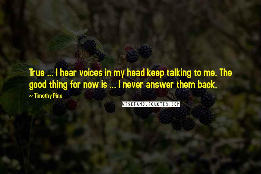 Timothy Pina quotes: True ... I hear voices in my head keep talking to me. The good thing for now is ... I never answer them back.