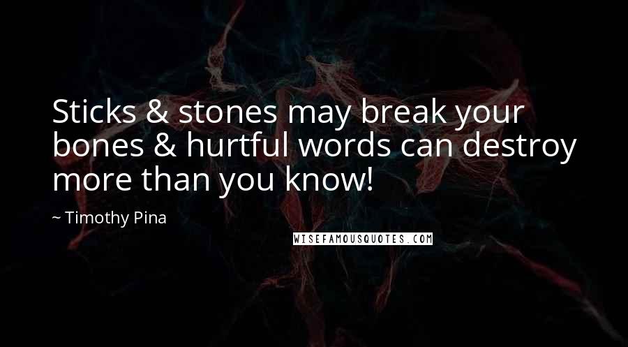 Timothy Pina quotes: Sticks & stones may break your bones & hurtful words can destroy more than you know!