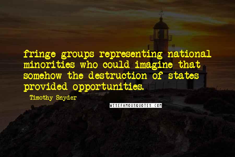 Timothy Snyder quotes: fringe groups representing national minorities who could imagine that somehow the destruction of states provided opportunities.