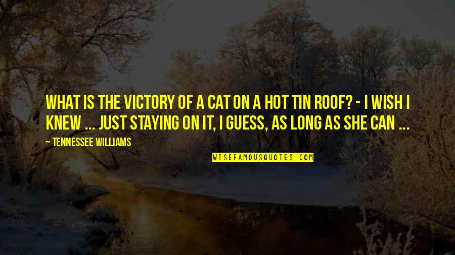 Tin Can Quotes By Tennessee Williams: What is the victory of a cat on