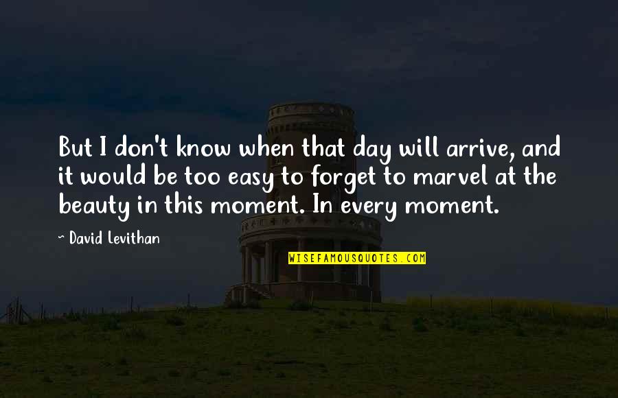 Tin Quotes Quotes By David Levithan: But I don't know when that day will