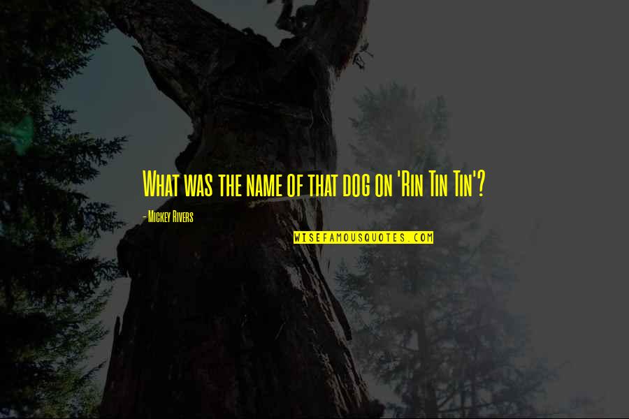 Tin Tin Quotes By Mickey Rivers: What was the name of that dog on Tin Tin Quotes By Mickey Rivers: What was the name of that dog on