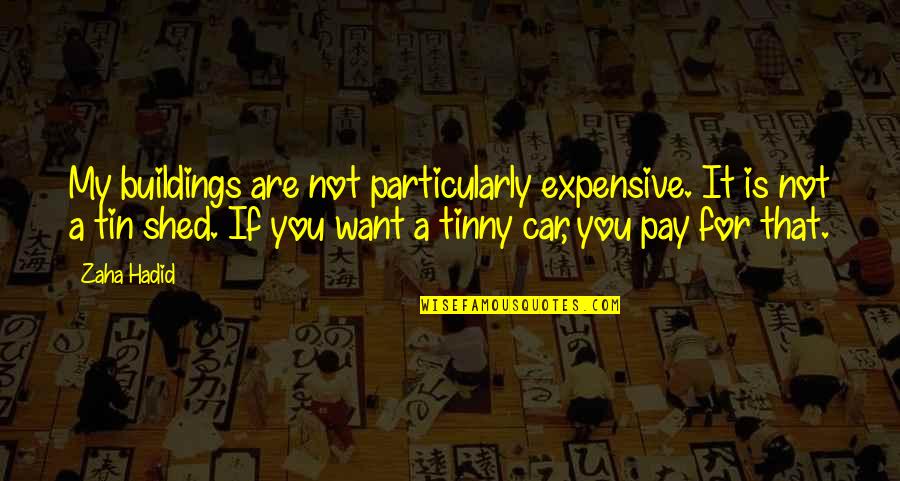 Tin Tin Quotes By Zaha Hadid: My buildings are not particularly expensive. It is Tin Tin Quotes By Zaha Hadid: My buildings are not particularly expensive. It is