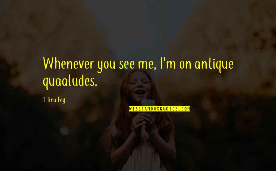 Tina Fey Quotes By Tina Fey: Whenever you see me, I'm on antique quaaludes.