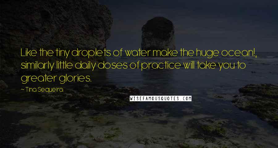 Tina Sequeira quotes: Like the tiny droplets of water make the huge ocean!, similarly little daily doses of practice will take you to greater glories.
