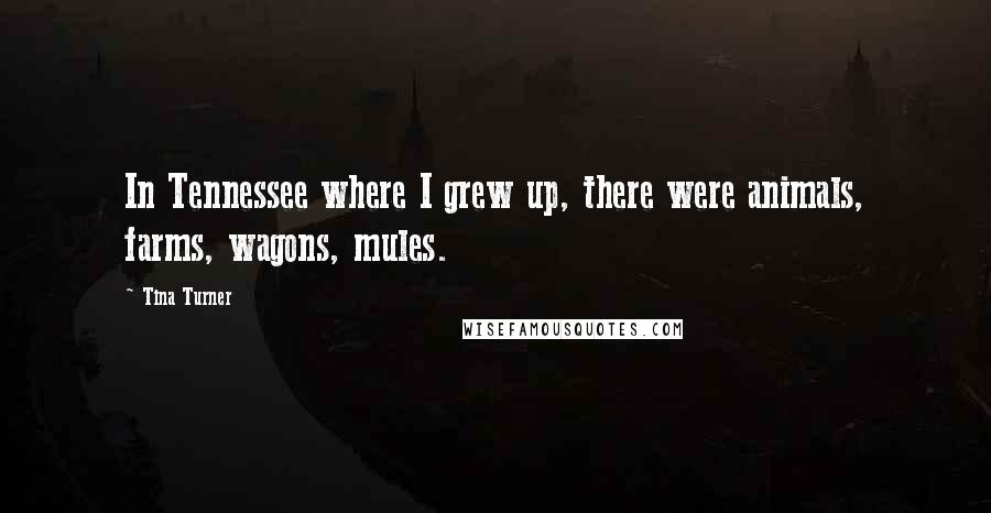 Tina Turner quotes: In Tennessee where I grew up, there were animals, farms, wagons, mules.