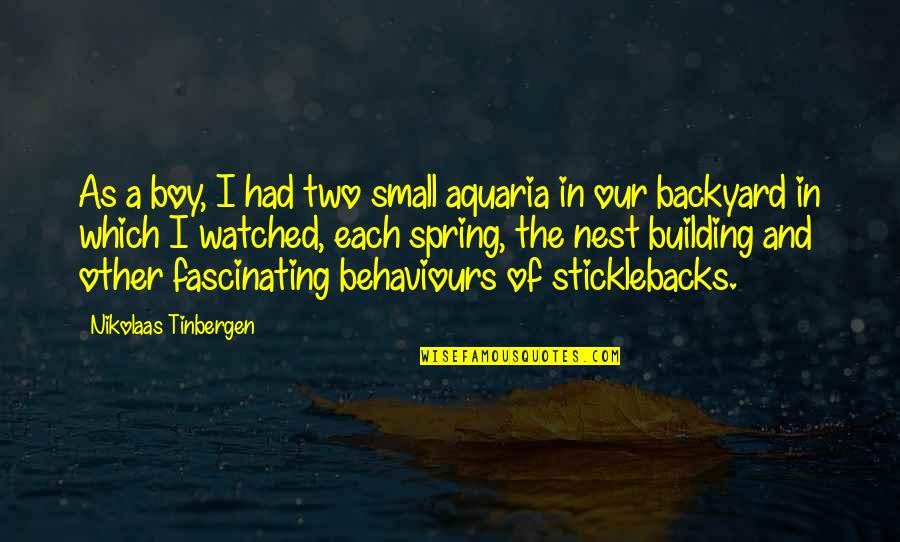 Tinbergen 4 Quotes By Nikolaas Tinbergen: As a boy, I had two small aquaria Tinbergen 4 Quotes By Nikolaas Tinbergen: As a boy, I had two small aquaria