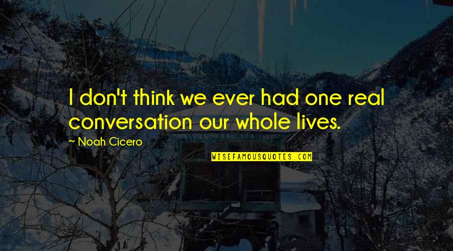 Tinction Quotes By Noah Cicero: I don't think we ever had one real