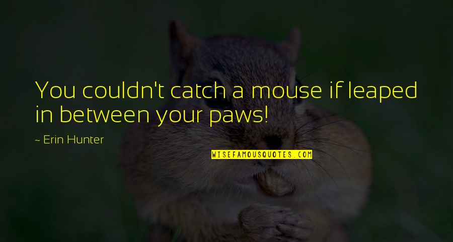 Tincture Quotes By Erin Hunter: You couldn't catch a mouse if leaped in