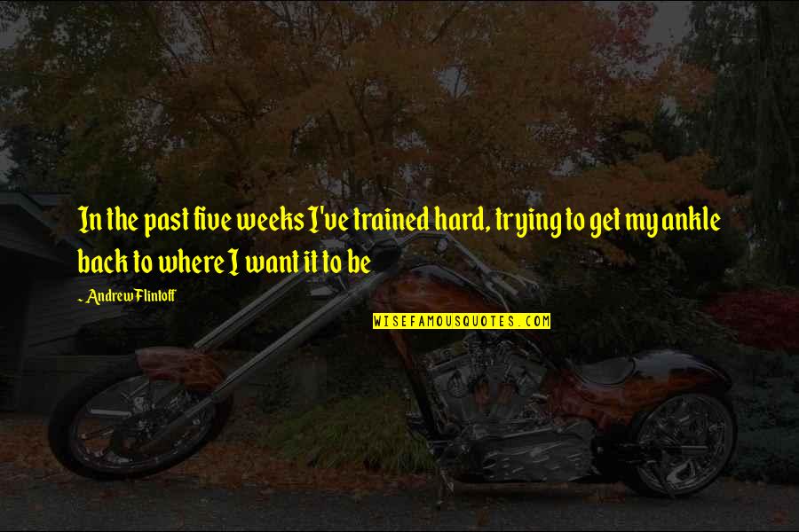 Tinctured Opium Quotes By Andrew Flintoff: In the past five weeks I've trained hard, Tinctured Opium Quotes By Andrew Flintoff: In the past five weeks I've trained hard,