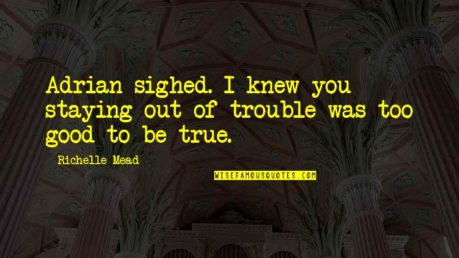 Tinelle 3 Quotes By Richelle Mead: Adrian sighed. I knew you staying out of