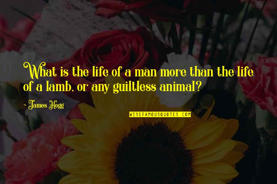 Tingir Quotes By James Hogg: What is the life of a man more