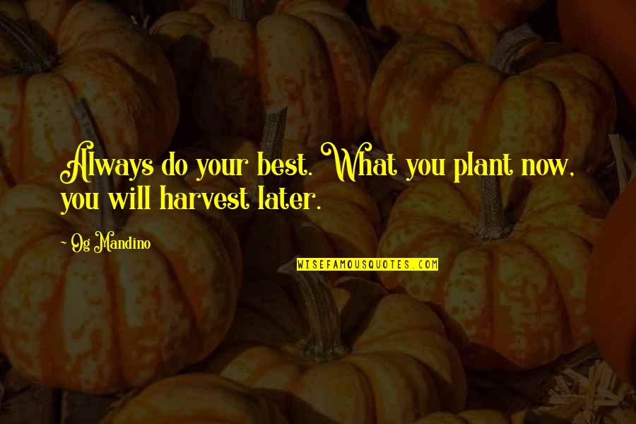Tingles Quotes By Og Mandino: Always do your best. What you plant now,